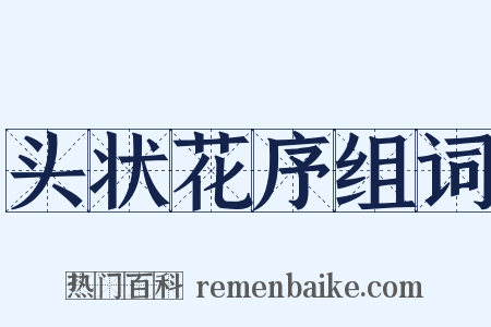 头状花序组词是什么意思的图片